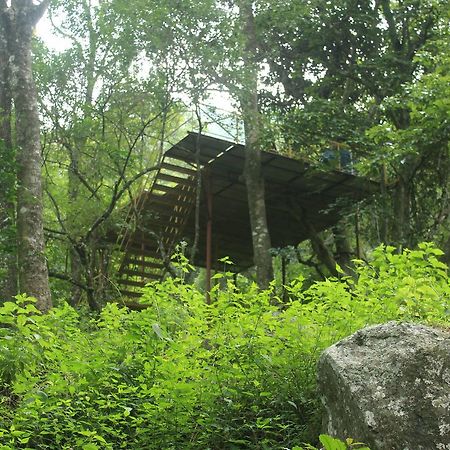 Secret Valley Jungle Resort Udagamandalam Exterior foto