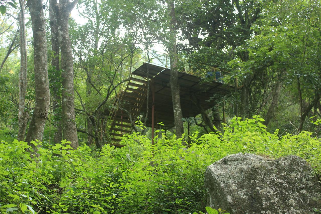 Secret Valley Jungle Resort Udagamandalam Exterior foto