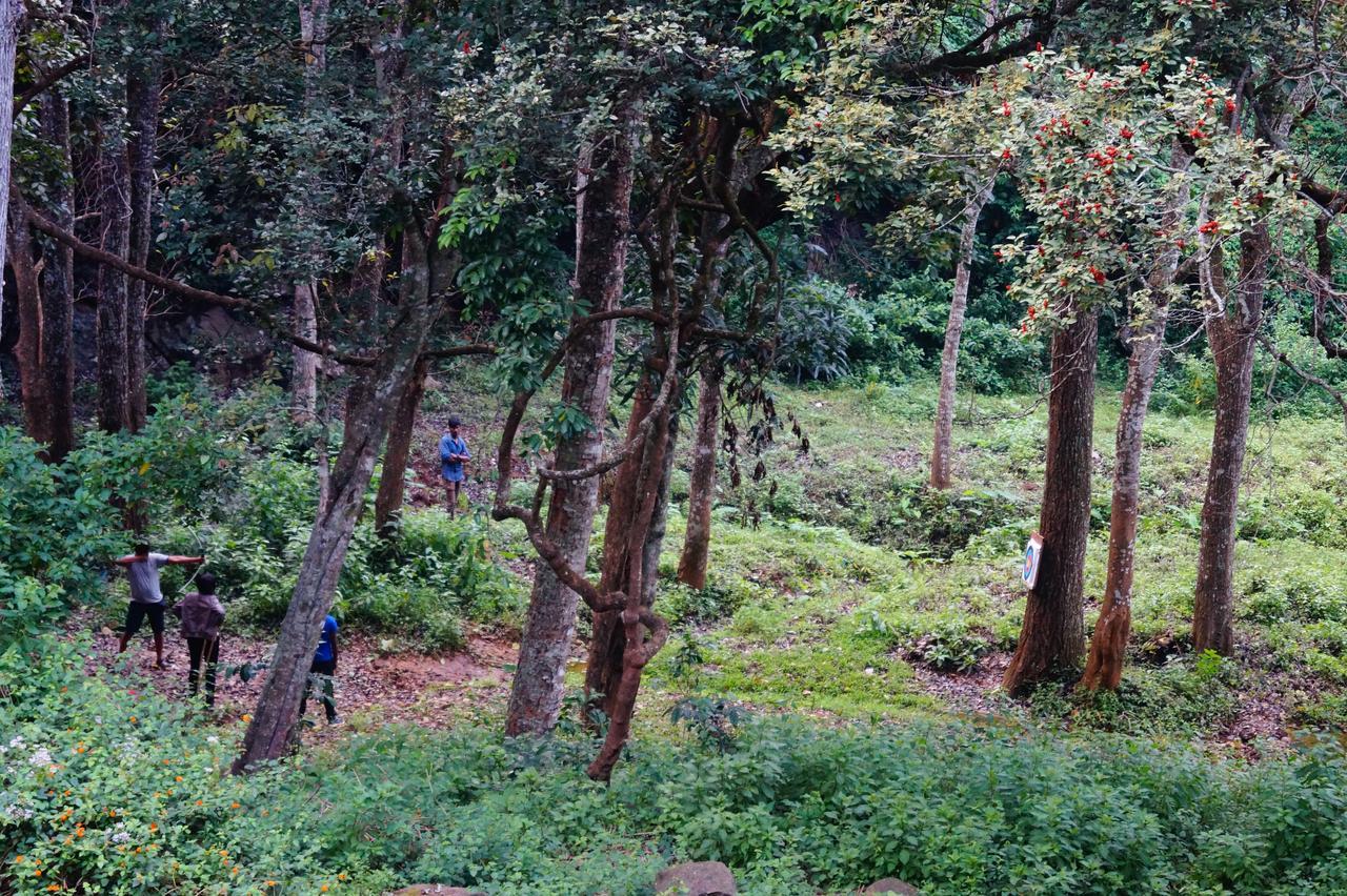 Secret Valley Jungle Resort Udagamandalam Exterior foto