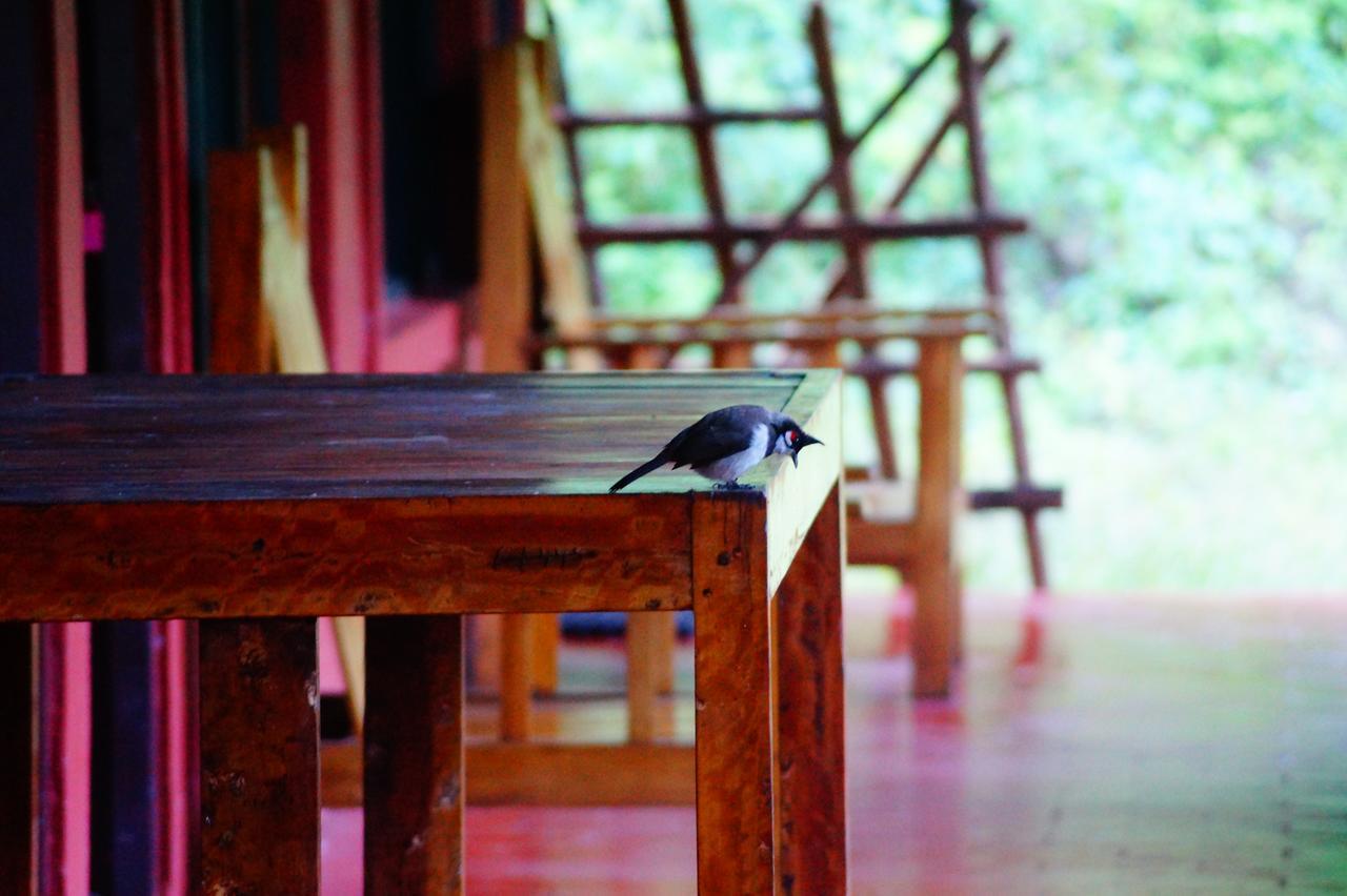 Secret Valley Jungle Resort Udagamandalam Exterior foto
